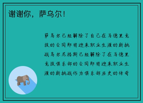 谢谢你，萨乌尔！